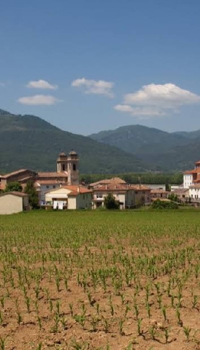 Fira del llibre local i conscient de Les Preses