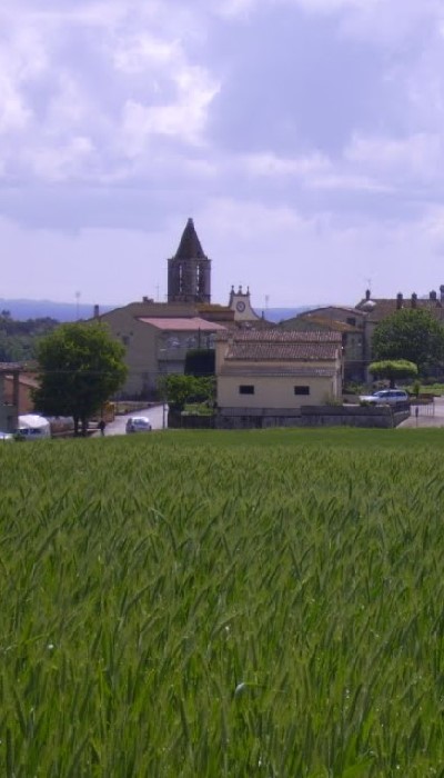 XLVII Concurs de Cançó de Salitja